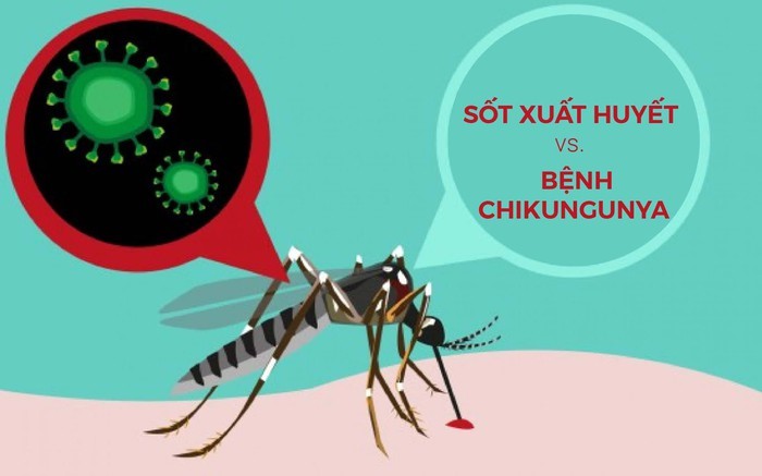xã Thanh Lâm: Tuyên truyền về bệnh Chikungunya và cách phòng, chống