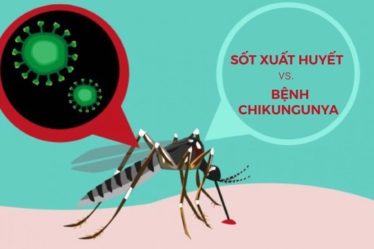 xã Thanh Lâm: Tuyên truyền về bệnh Chikungunya và cách phòng, chống 